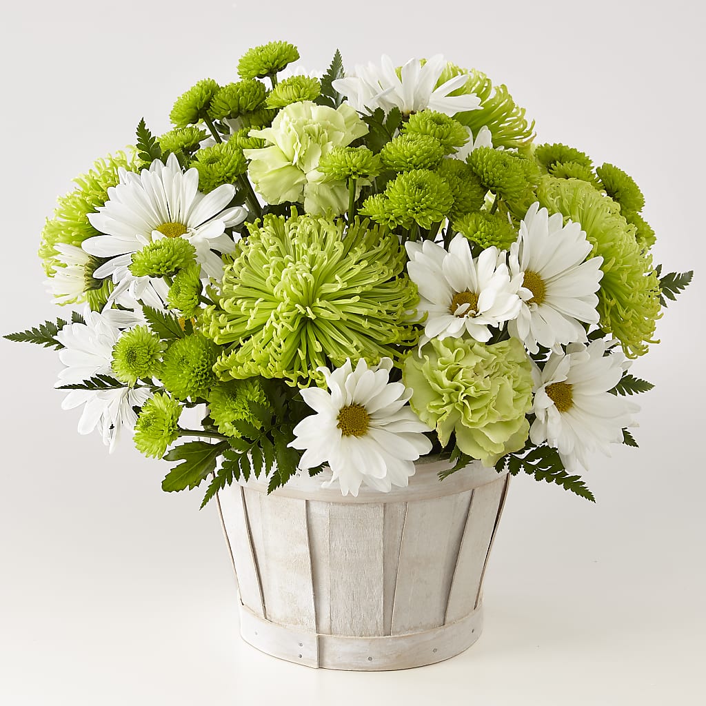 Lucky Charm Basket (Standard) – Monarca Florist, Yonkers NY