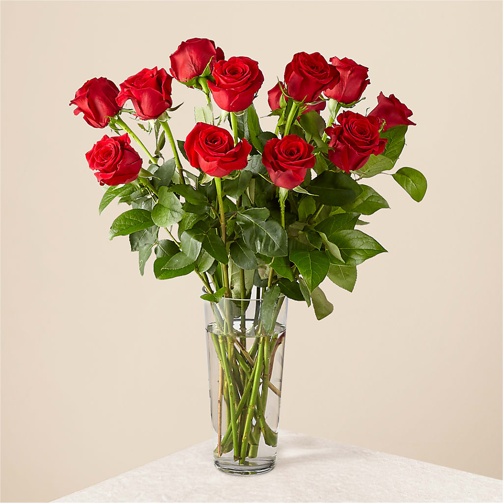 Long Stem Red Rose Bouquet – Monarca Florist, Yonkers NY