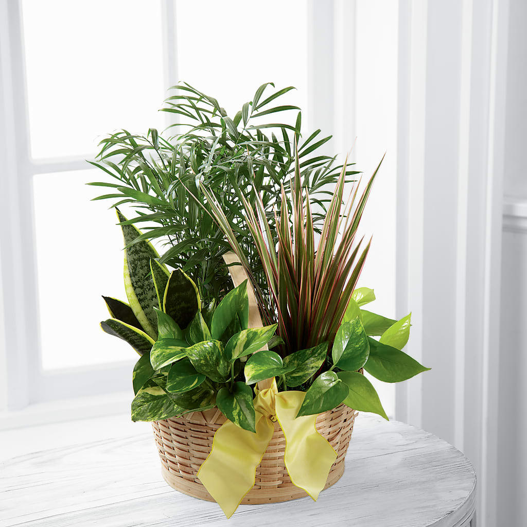 French Garden – Monarca Florist, Yonkers NY