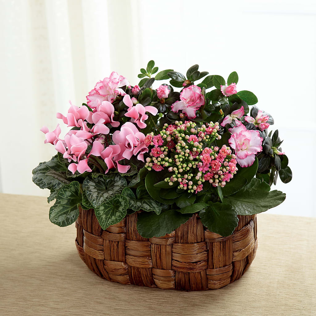 Pink Assortment – Monarca Florist, Yonkers NY