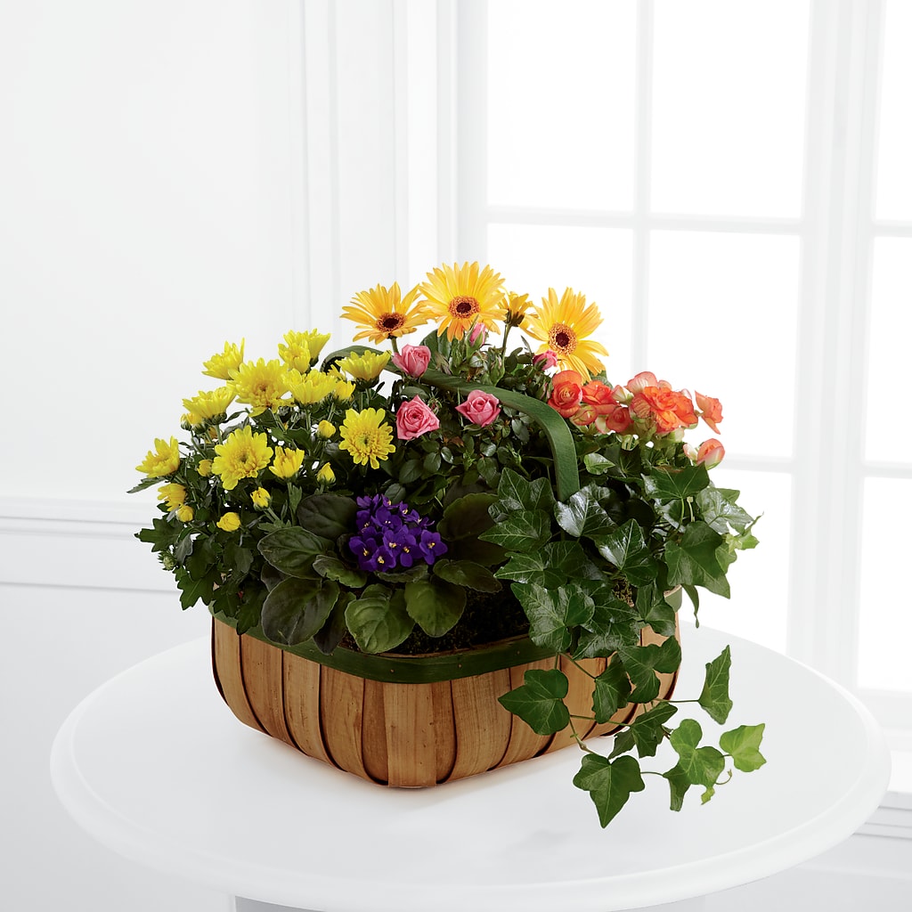 Gentle Blossoms Basket – Monarca Florist, Yonkers NY