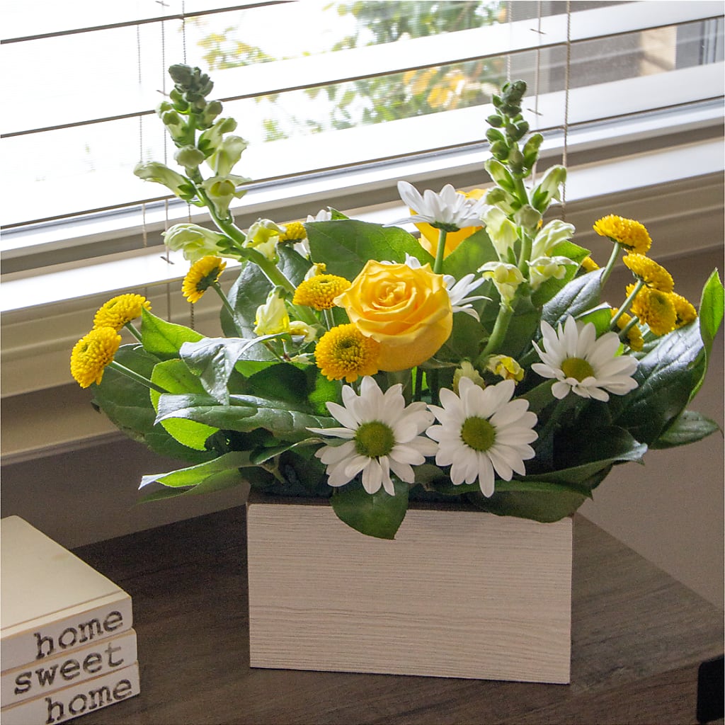 Sun Salutation Box Bouquet – Monarca Florist, Yonkers NY