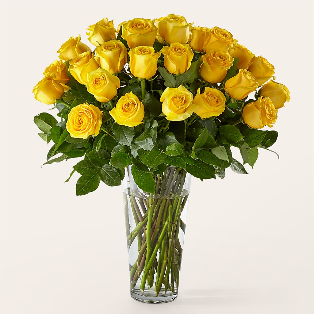 Long Stem Yellow Rose Bouquet – Monarca Florist, Yonkers NY