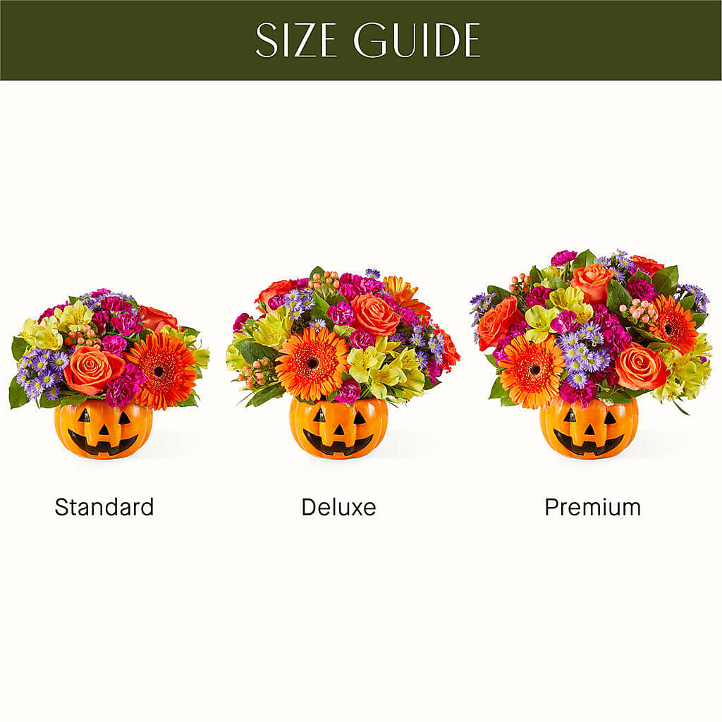 Tricks & Treats Pumpkin – Monarca Florist, Yonkers NY