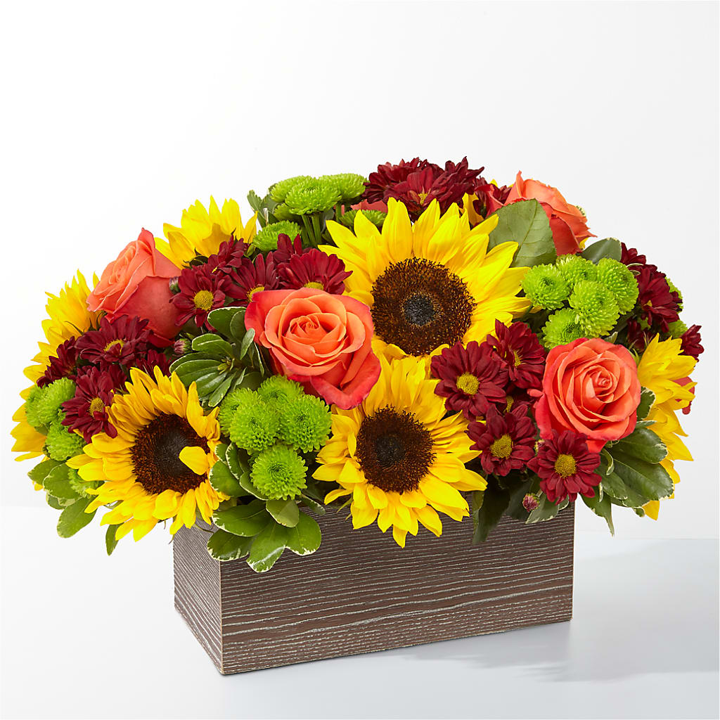 Happy Harvest Garden – Monarca Florist, Yonkers NY