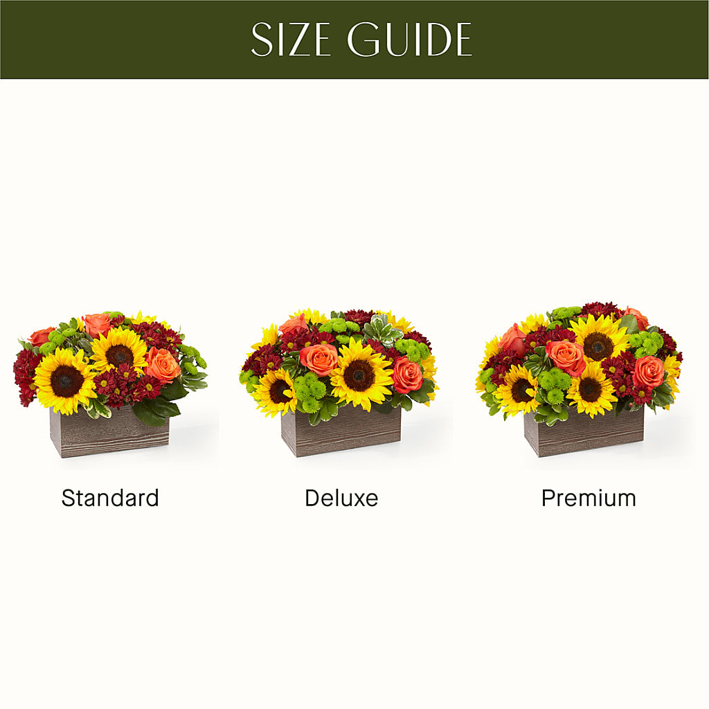 Happy Harvest Garden – Monarca Florist, Yonkers NY