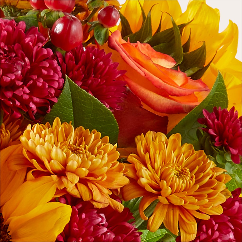 Sweater Season - A Florist Original – Monarca Florist, Yonkers NY