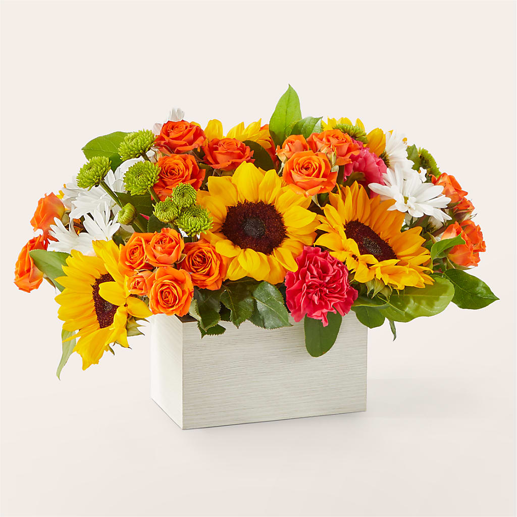 Sun-drenched Blooms Box Bouquet – Monarca Florist, Yonkers NY