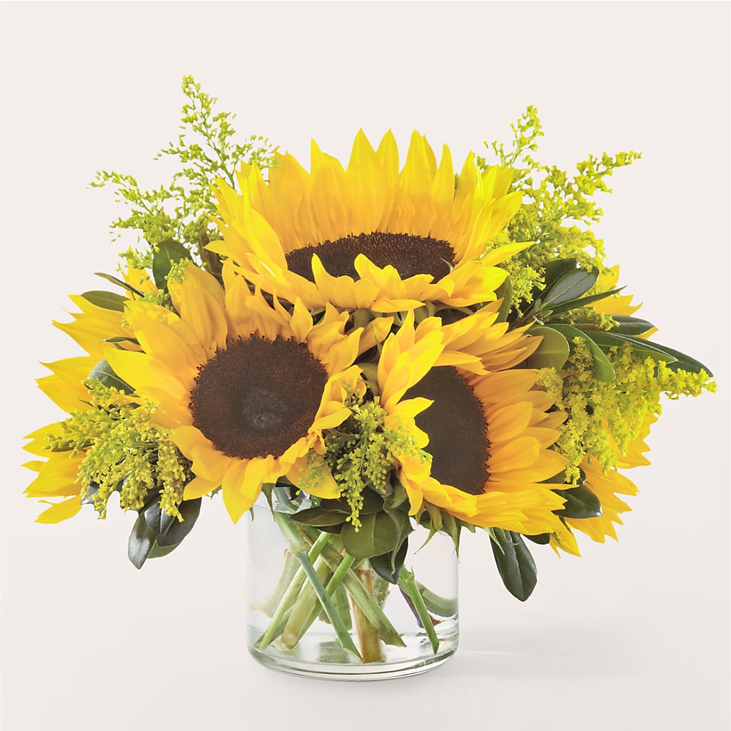 Beaming Sunflower Bouquet – Monarca Florist, Yonkers NY
