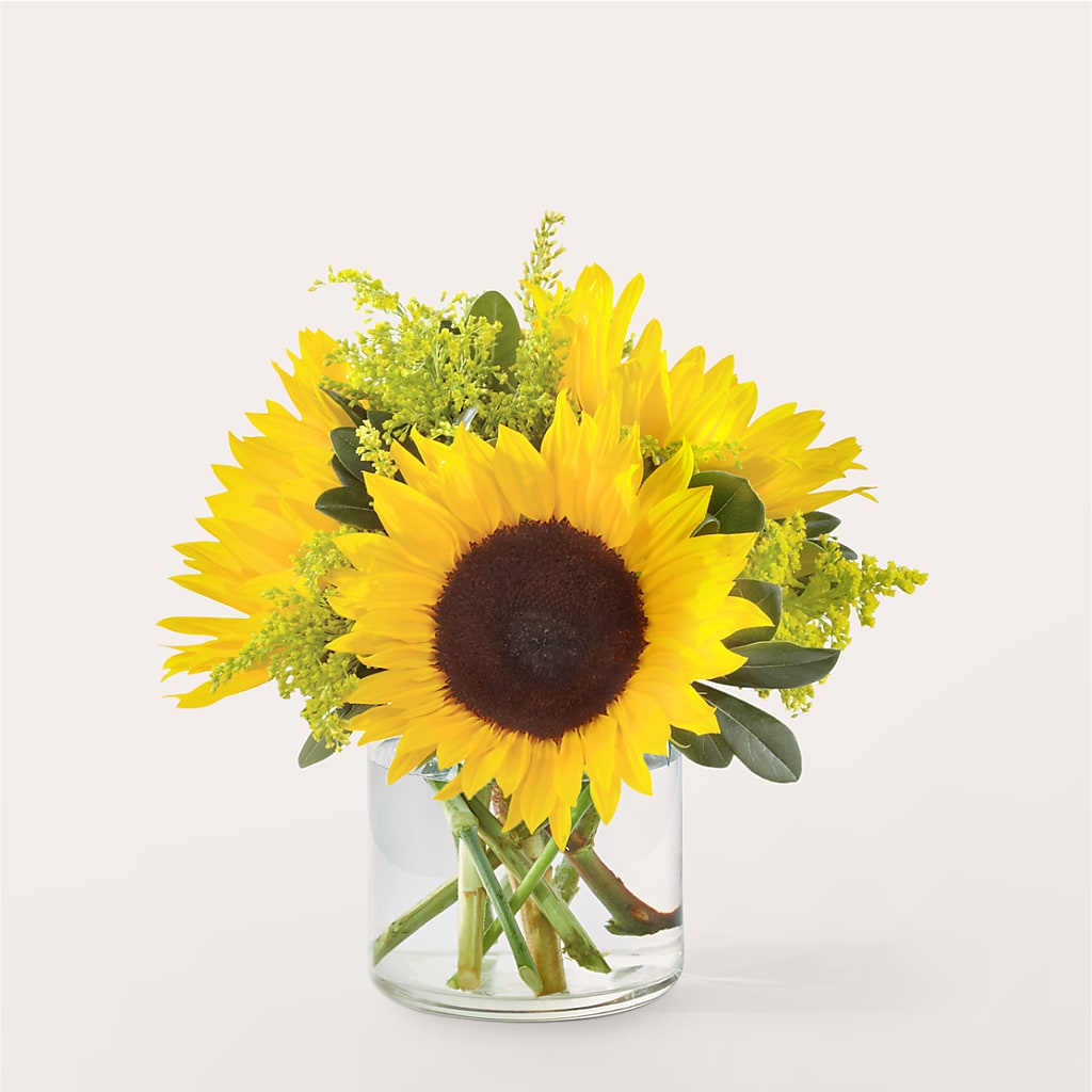 Beaming Sunflower Bouquet – Monarca Florist, Yonkers NY