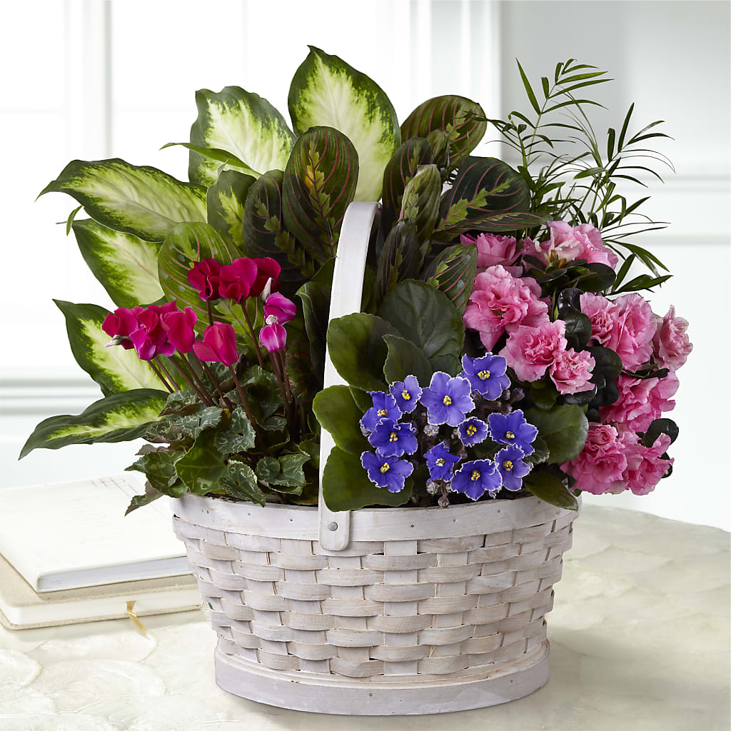 Peaceful Garden Planter – Monarca Florist, Yonkers NY