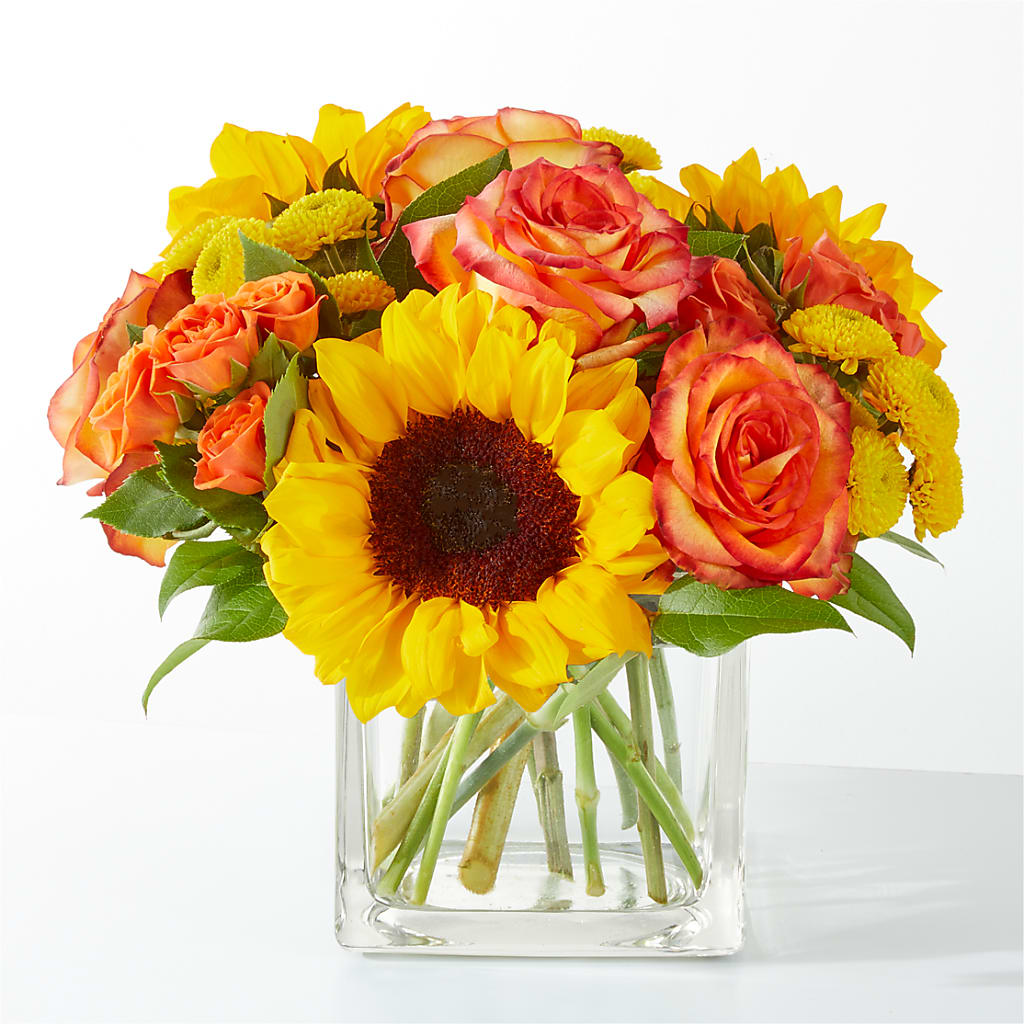 Picnic in the Park Bouquet – Monarca Florist, Yonkers NY