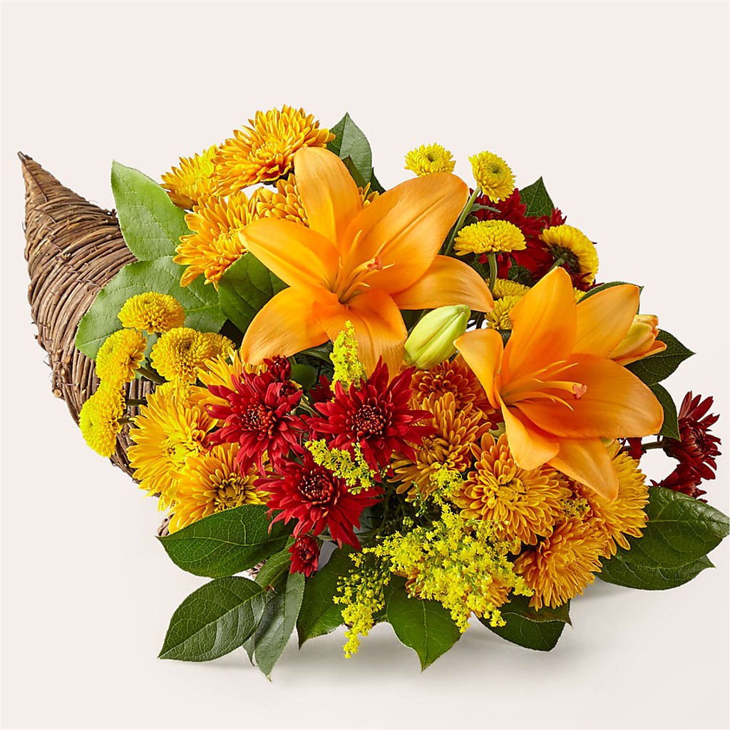 Feast of Color Cornucopia – Monarca Florist, Yonkers NY