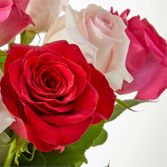 Charming Rose Bouquet – Monarca Florist, Yonkers NY
