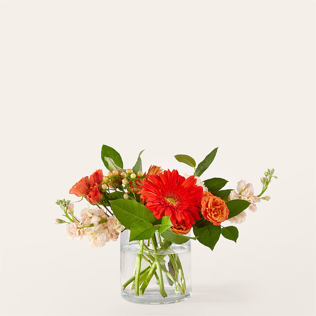 Paloma Please Bouquet – Monarca Florist, Yonkers NY