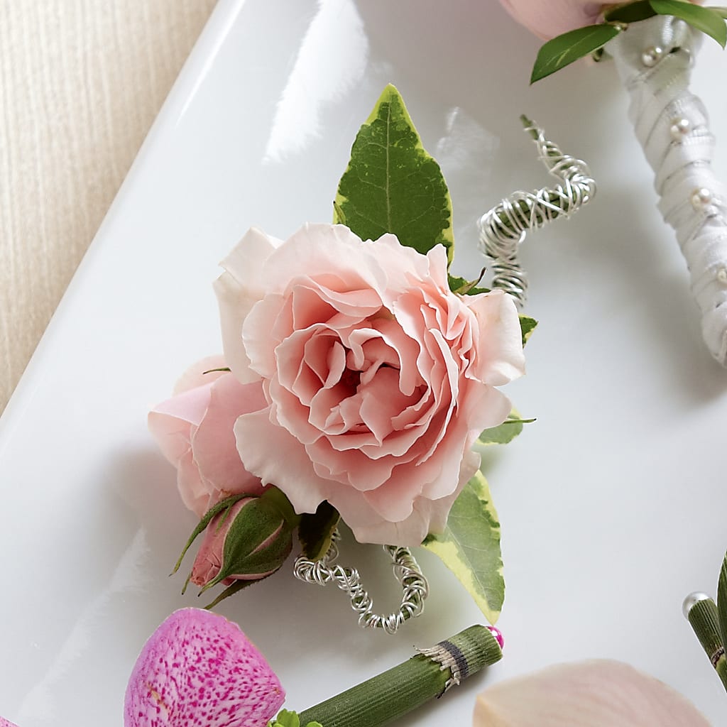 Pink Spray Rose Boutonniere – Monarca Florist, Yonkers NY
