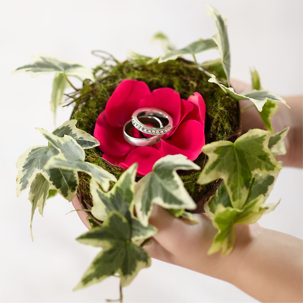 Lila Rose Ring Nest – Monarca Florist, Yonkers NY