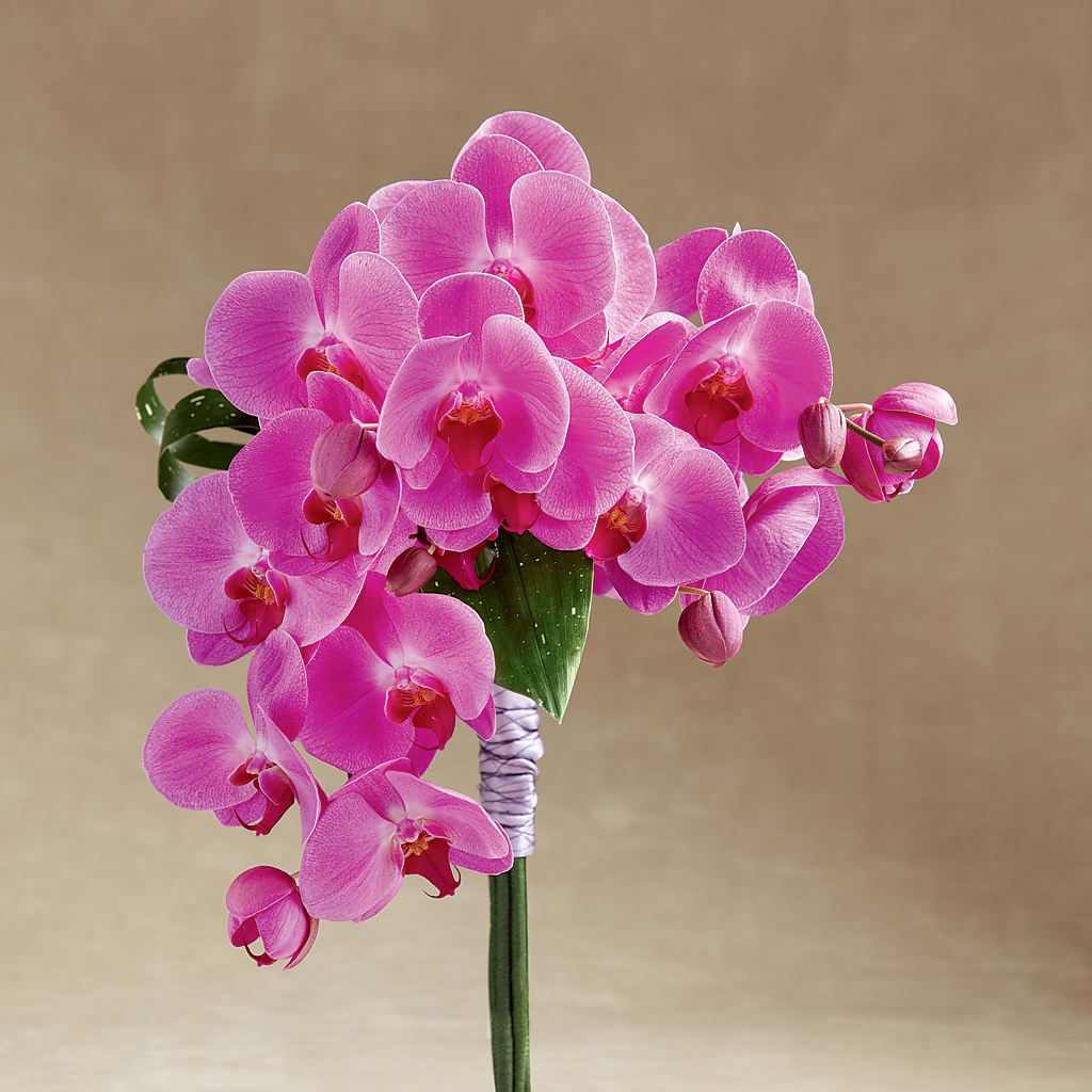Glorious Bouquet – Monarca Florist, Yonkers NY