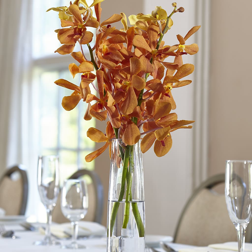 Orange Mokara Bud Vase – Monarca Florist, Yonkers NY