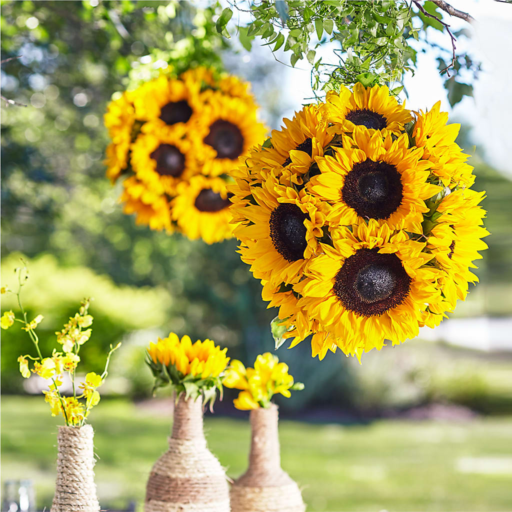 Sublime Garden Hanging Arrangement – Monarca Florist, Yonkers NY