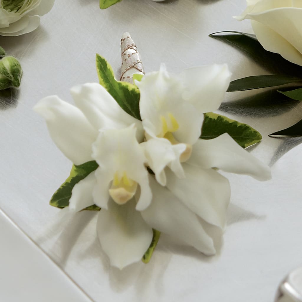 White Mini Cymbidium Boutonniere – Monarca Florist, Yonkers NY
