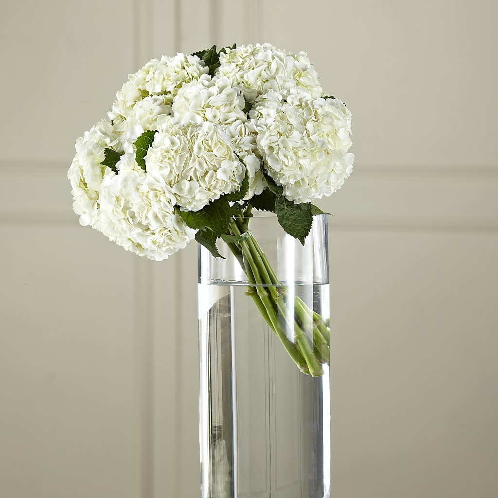 White Hydrangea Hand-Tied Bouquet – Monarca Florist, Yonkers NY