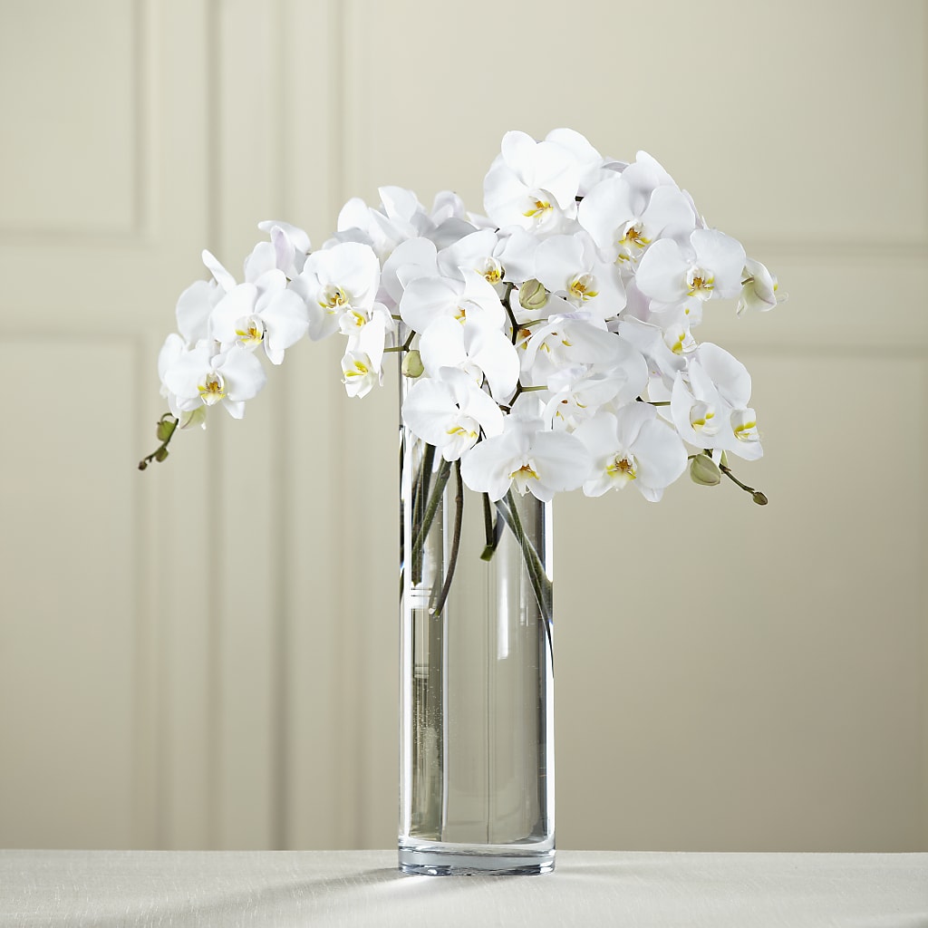 White Phalaenopsis Bouquet – Monarca Florist, Yonkers NY