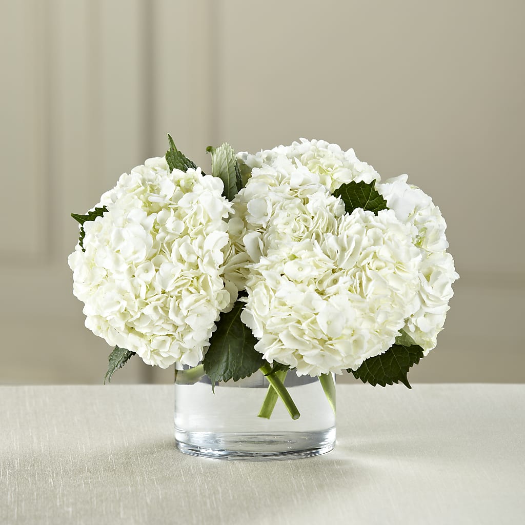 White Hydrangea Bouquet – Monarca Florist, Yonkers NY