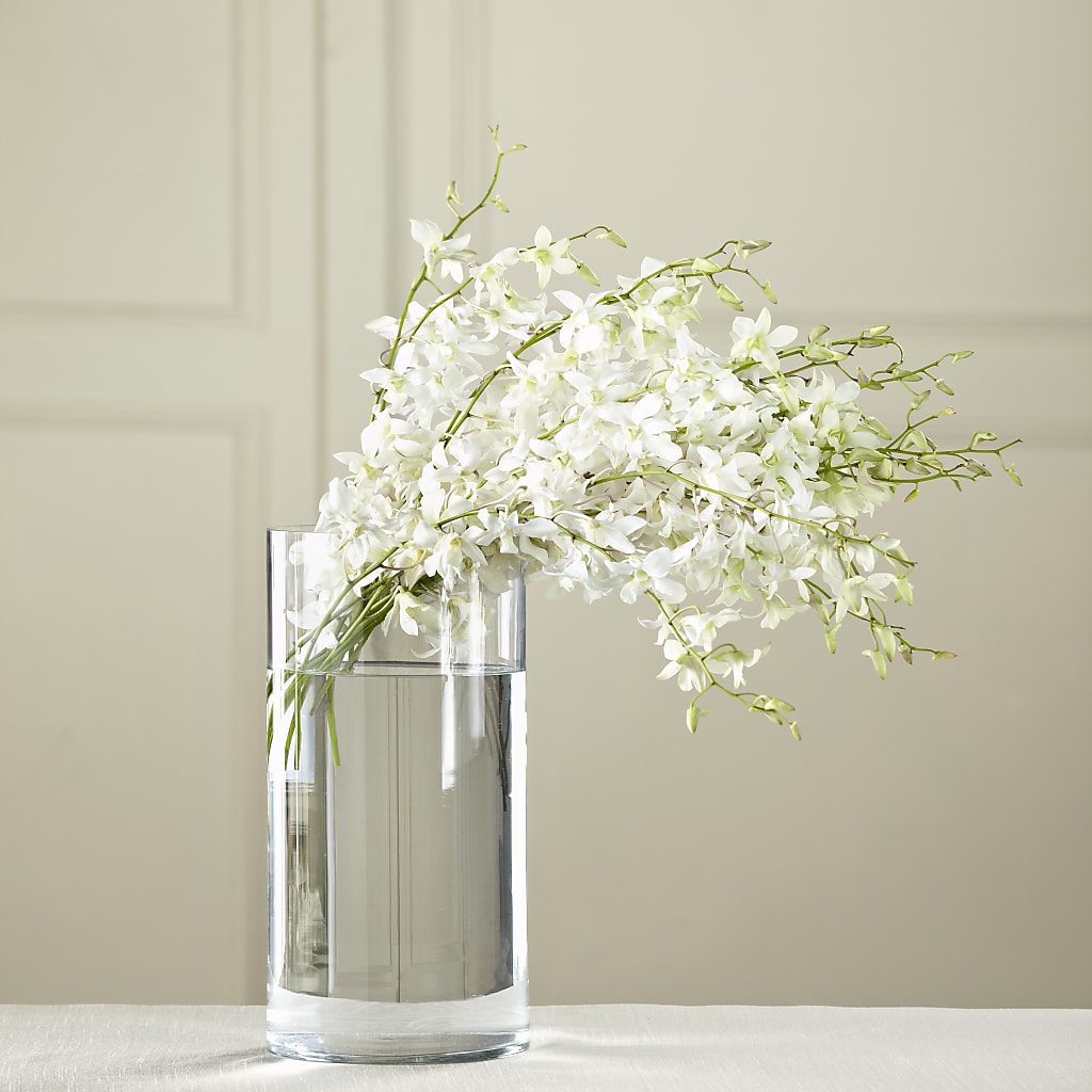 White Dendrobium Bouquet – Monarca Florist, Yonkers NY