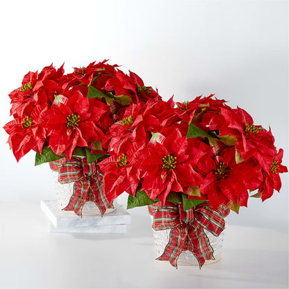 Happiest Holidays Poinsettia Bundle –  Monarca Florist, Yonkers NY