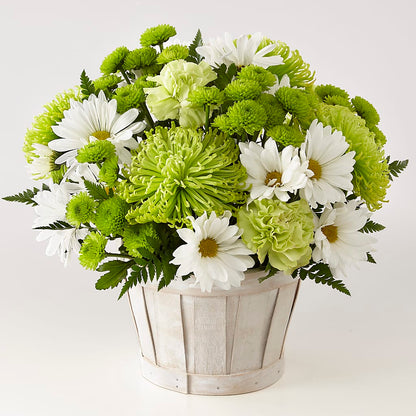Lucky Charm Basket (Standard) –  Monarca Florist, Yonkers NY