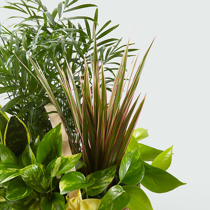 French Garden –  Monarca Florist, Yonkers NY