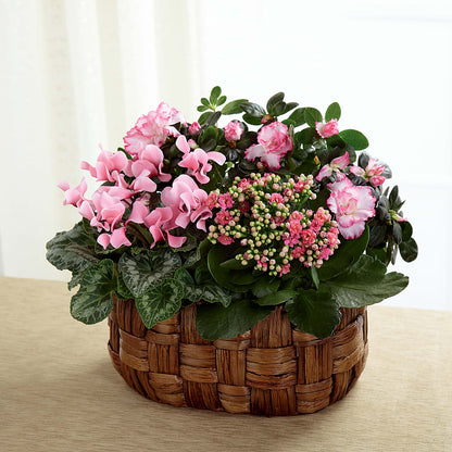 Pink Assortment –  Monarca Florist, Yonkers NY