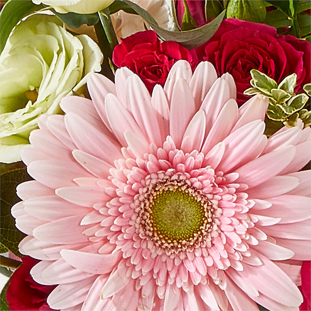 Too Cute Bouquet –  Monarca Florist, Yonkers NY