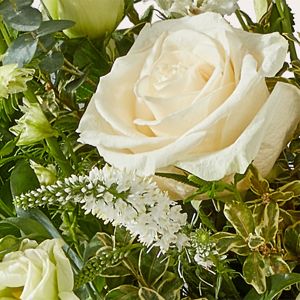 Cashmere Bouquet –  Monarca Florist, Yonkers NY