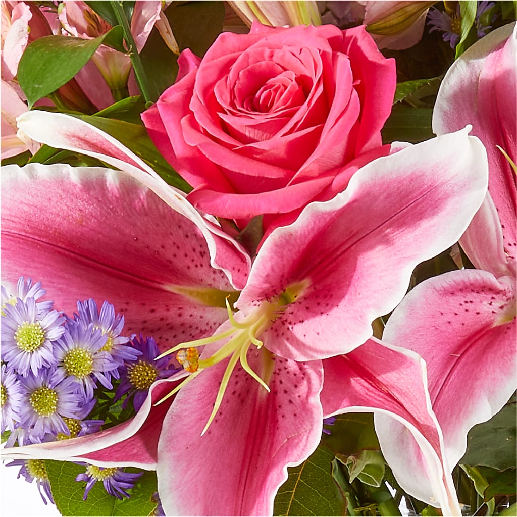 Written in the Stars Bouquet –  Monarca Florist, Yonkers NY