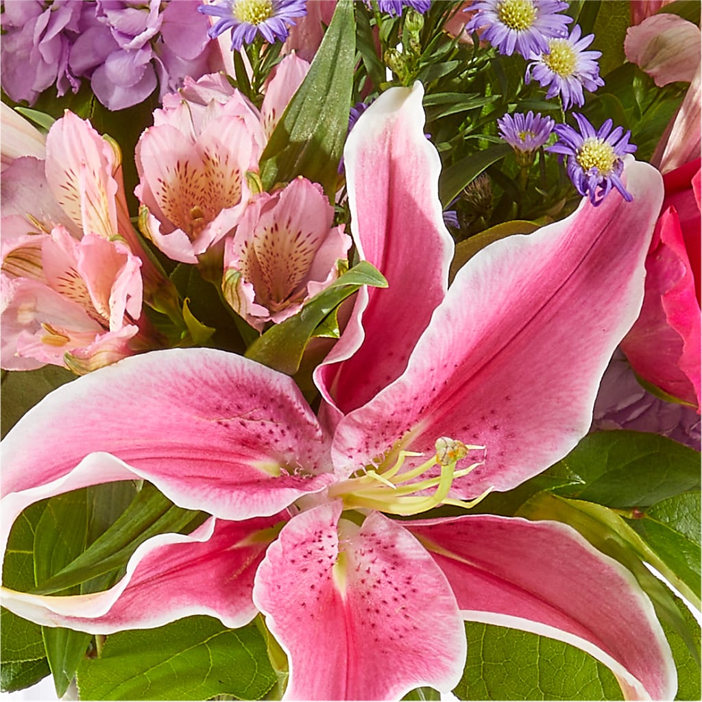 Written in the Stars Bouquet –  Monarca Florist, Yonkers NY