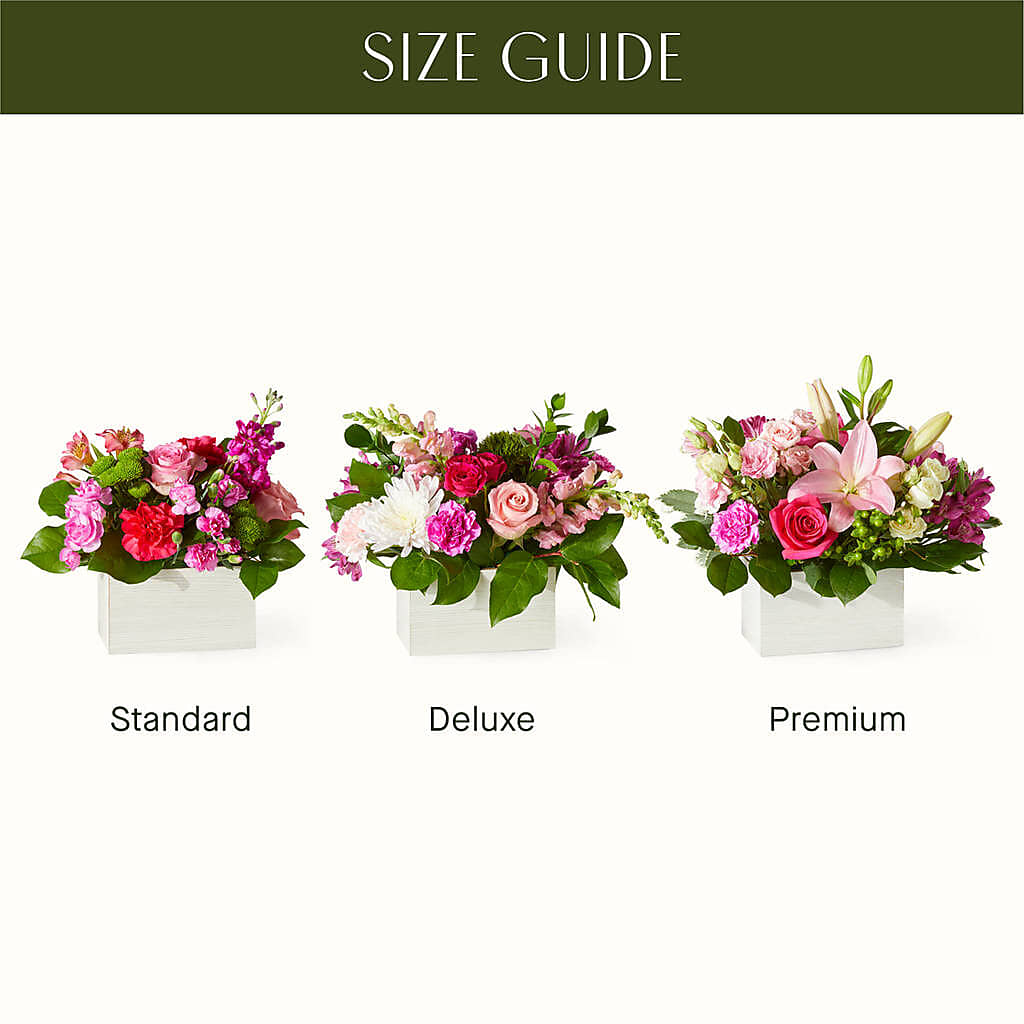 Sweetberry Box – A Florist Original –  Monarca Florist, Yonkers NY