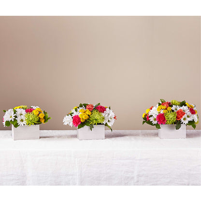 Sorbet Bouquet –  Monarca Florist, Yonkers NY