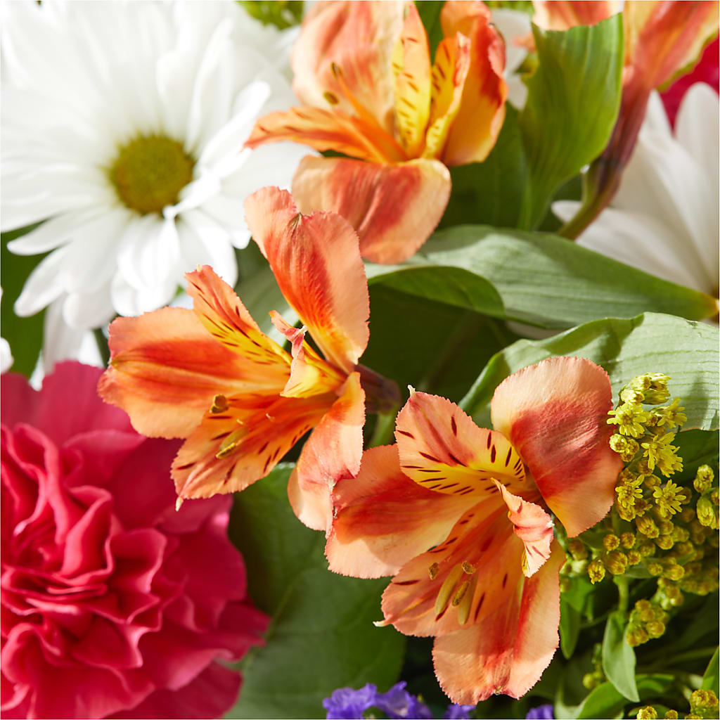 Oopsie Daisy Box Bouquet –  Monarca Florist, Yonkers NY