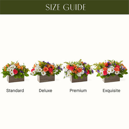 Oopsie Daisy Box Bouquet –  Monarca Florist, Yonkers NY