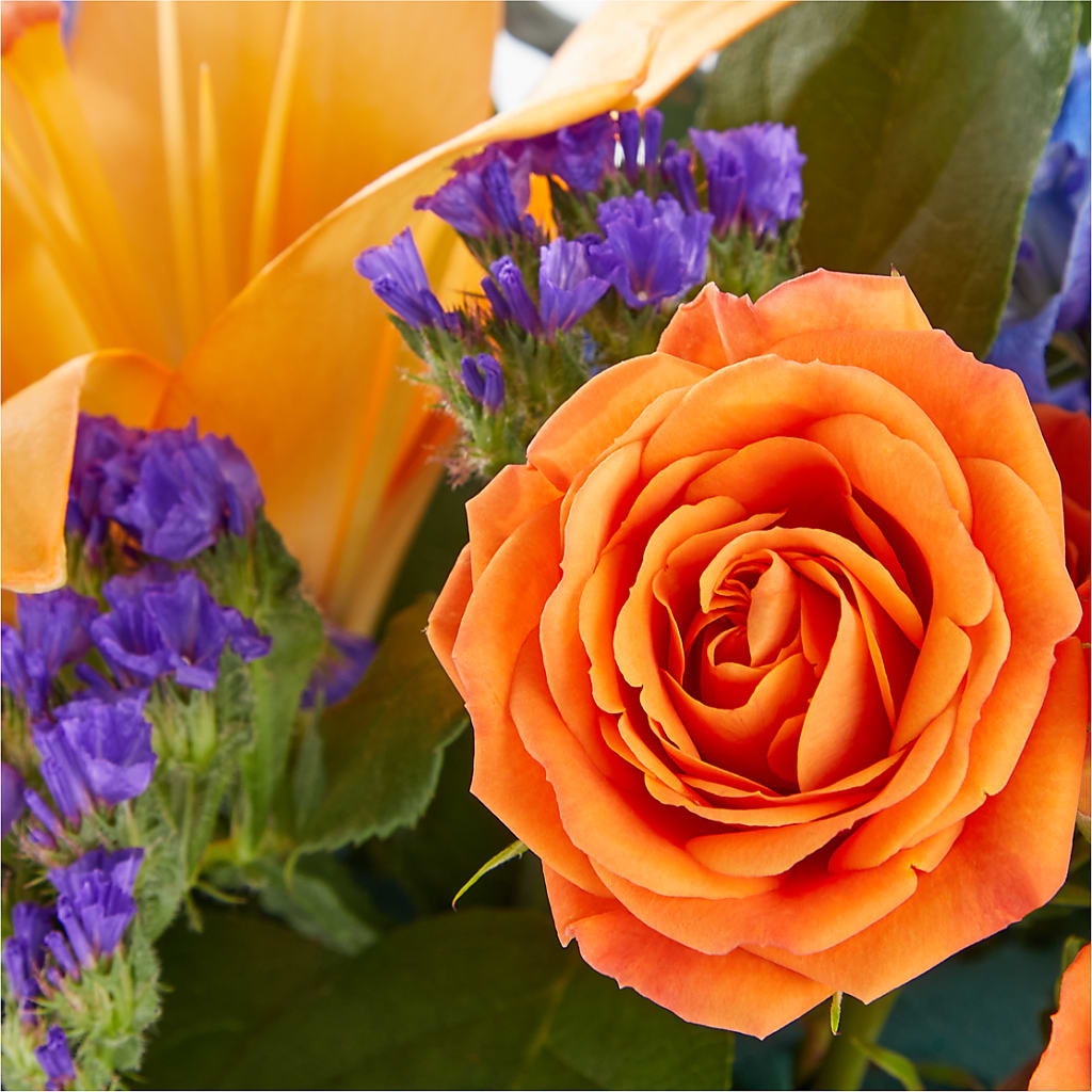Radiant Citrus Box Bouquet –  Monarca Florist, Yonkers NY