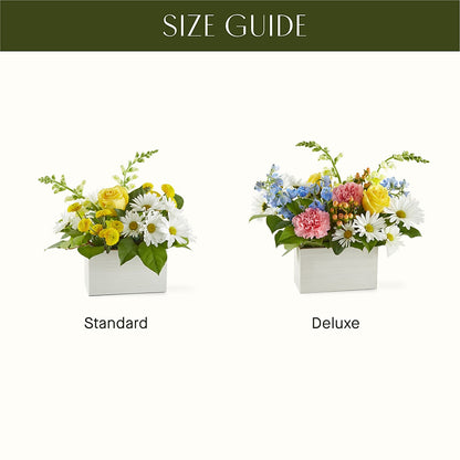 Sun Salutation Box Bouquet –  Monarca Florist, Yonkers NY