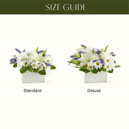Beyond Blue Box Bouquet –  Monarca Florist, Yonkers NY