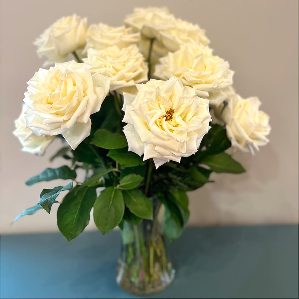 Long Stem Yellow Rose Bouquet –  Monarca Florist, Yonkers NY
