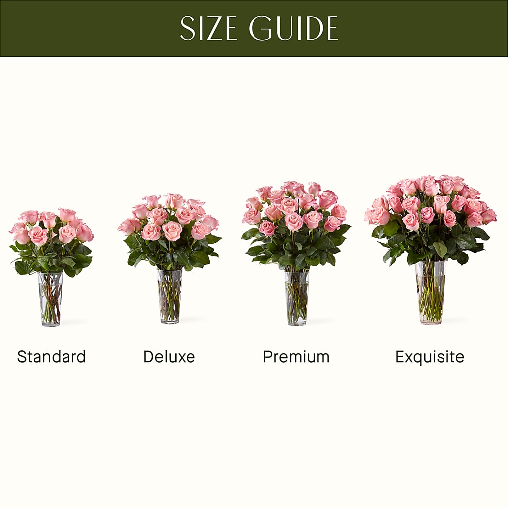 Long Stem Pink Rose Bouquet –  Monarca Florist, Yonkers NY
