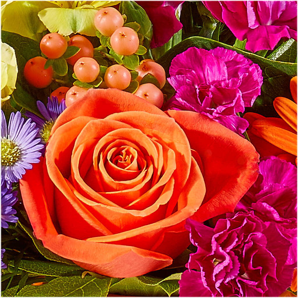Tricks & Treats Pumpkin –  Monarca Florist, Yonkers NY