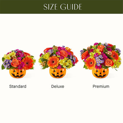 Tricks & Treats Pumpkin –  Monarca Florist, Yonkers NY
