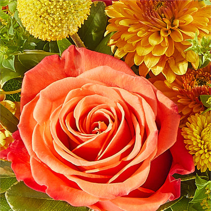Gourdgeous Pumpkin –  Monarca Florist, Yonkers NY