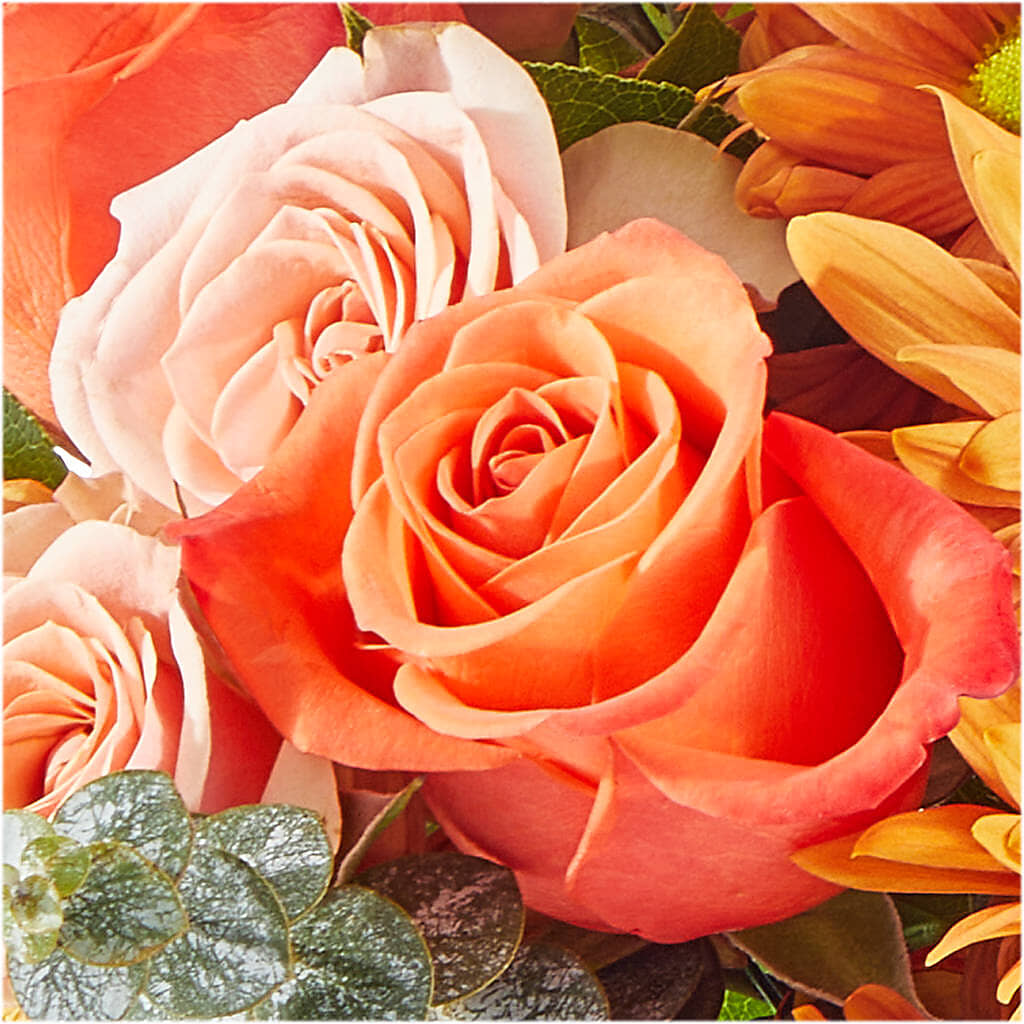 Scenic Route Bouquet –  Monarca Florist, Yonkers NY